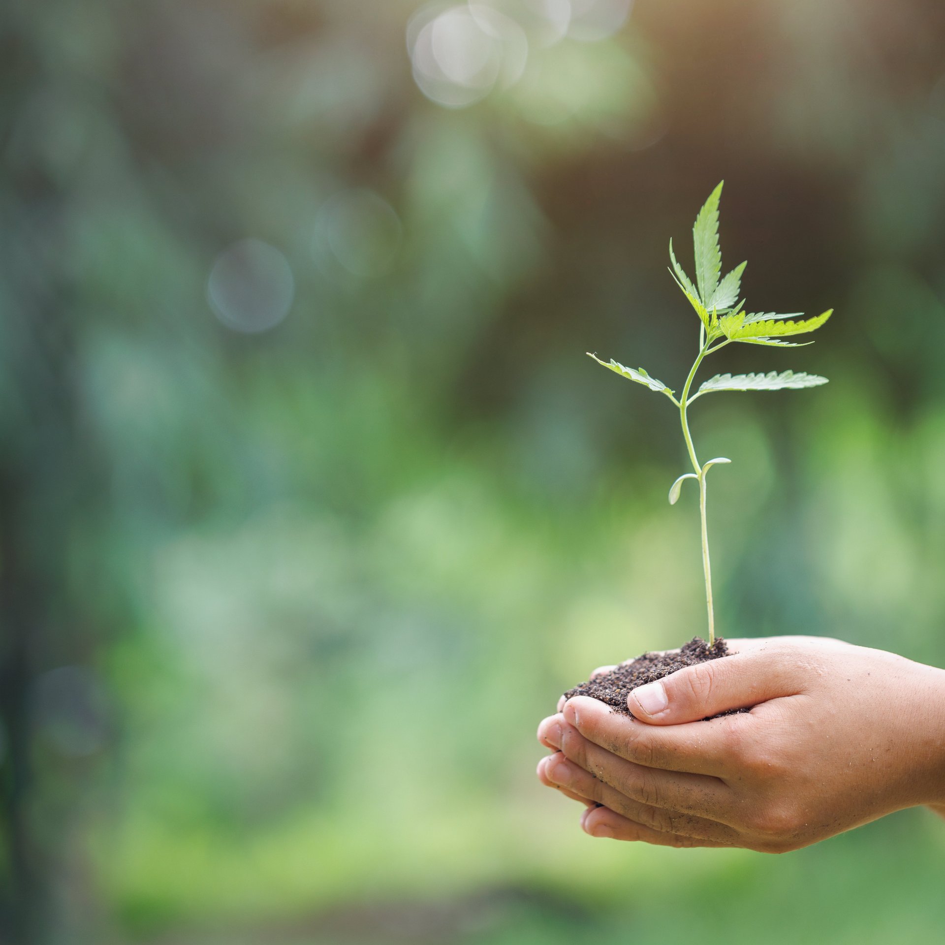 Wij zetten ons in voor duurzame productie en klimaatbescherming - Colasit