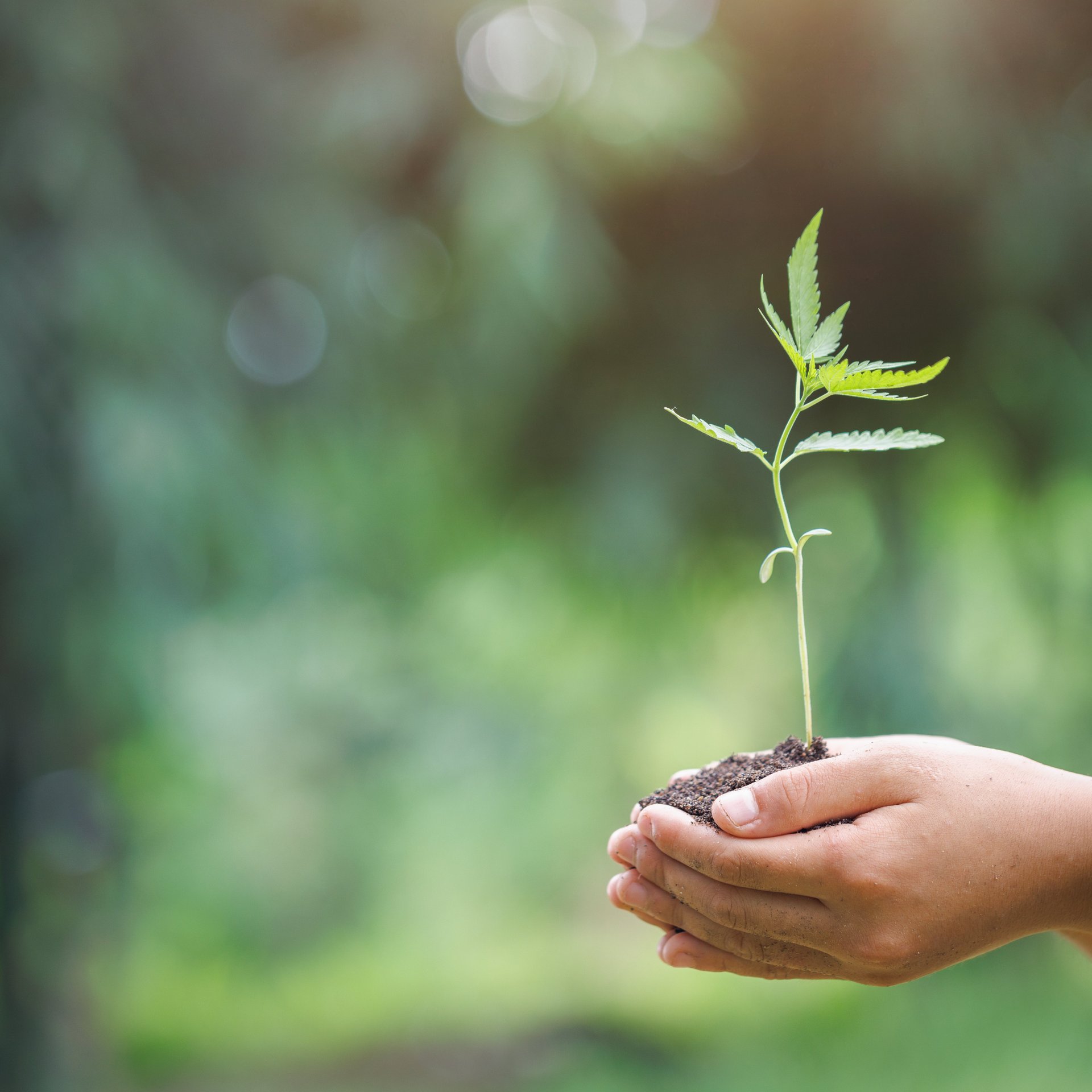 Sustainability approach in production and climate protection - Colasit