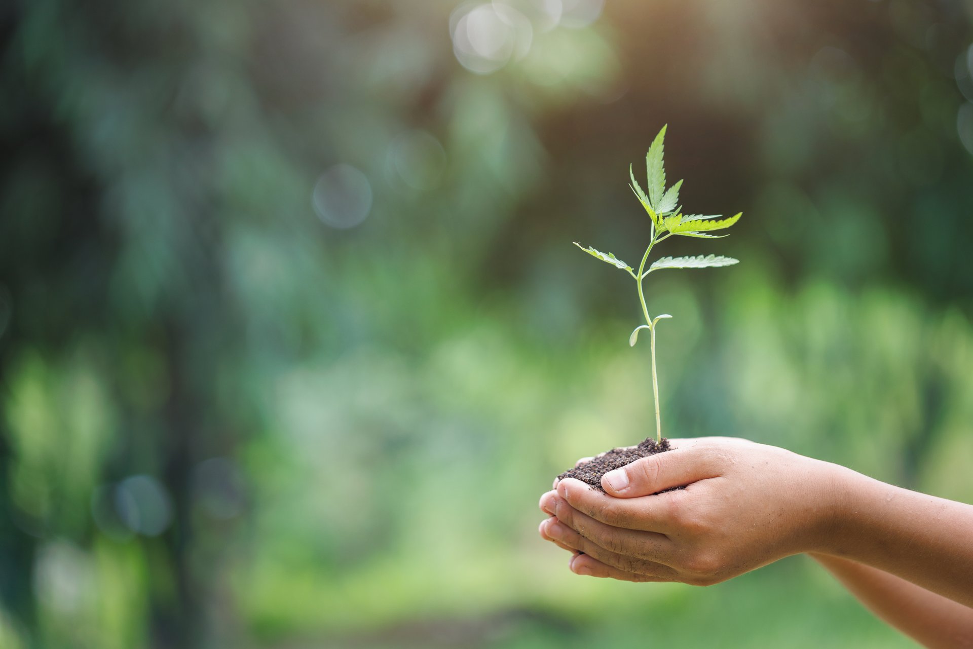 Sustainability approach in production and climate protection - Colasit