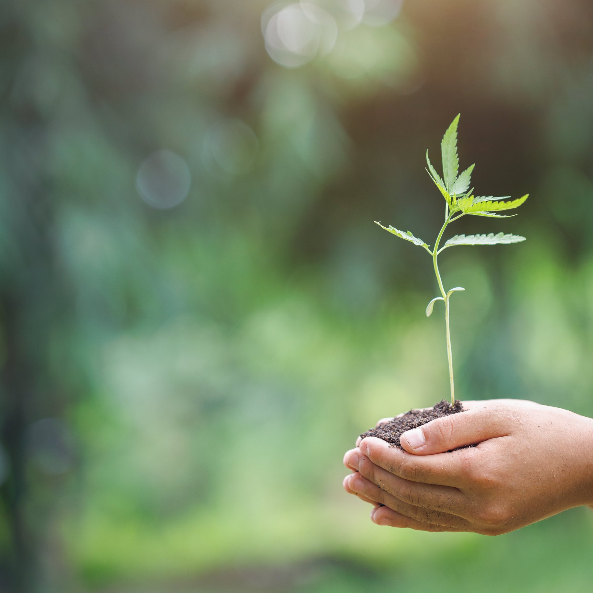Wij zetten ons in voor duurzame productie en klimaatbescherming - Colasit