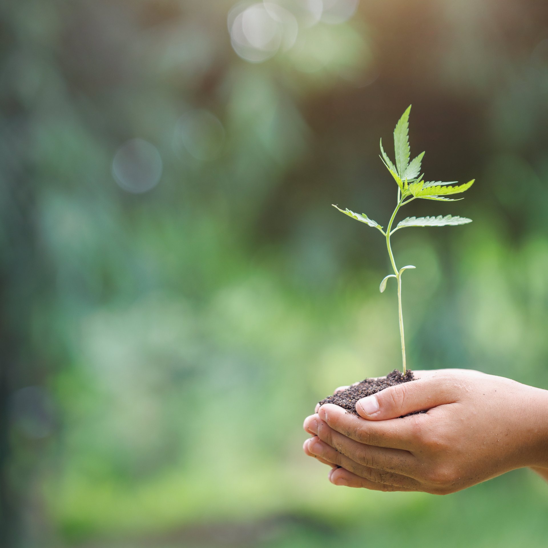 Wij zetten ons in voor duurzame productie en klimaatbescherming - Colasit