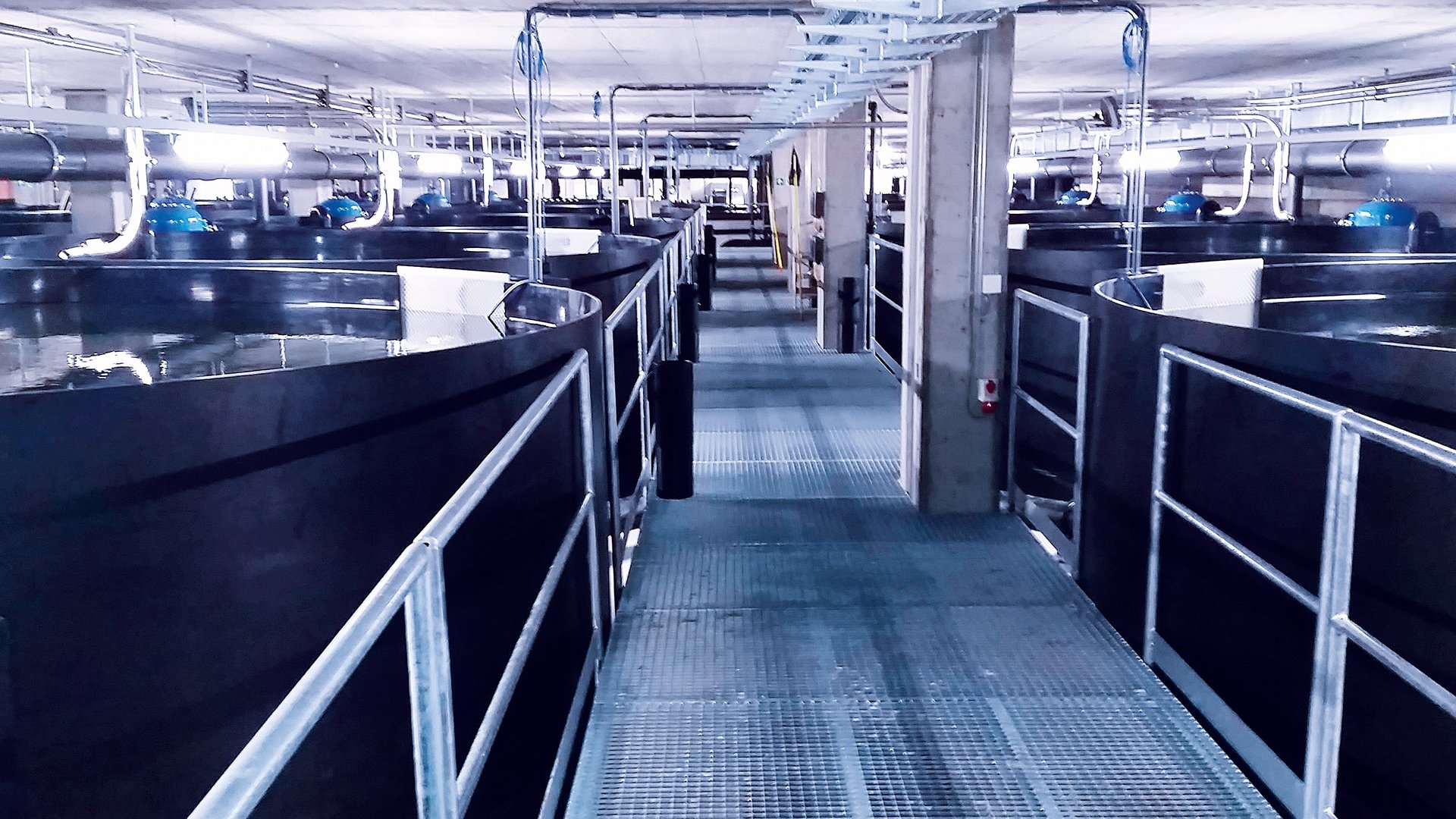 Viskwekerij in plastic PE voor zoetwaterviskweek - Colasit